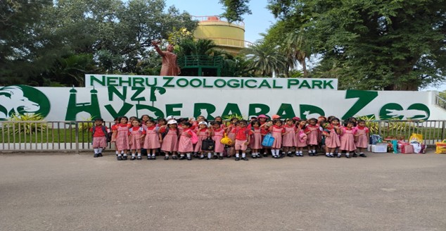 Nehru Zoo Picnic
